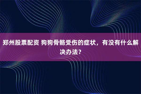 郑州股票配资 狗狗骨骼受伤的症状，有没有什么解决办法？